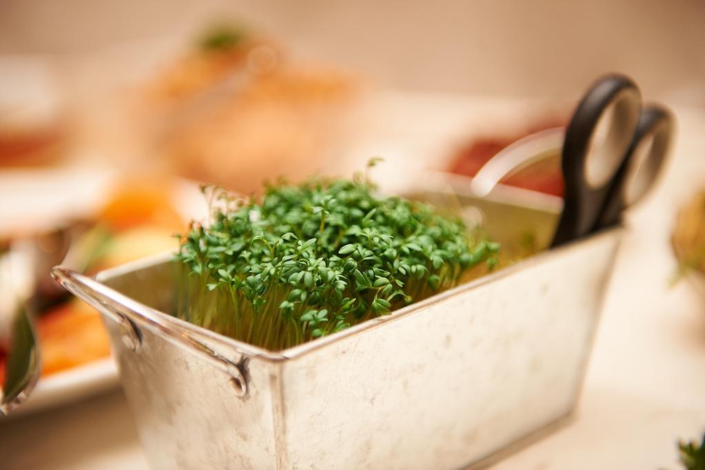 Vegan Hotel Und Restaurants Nicolay 1881 젤틴겐라티그 외부 사진